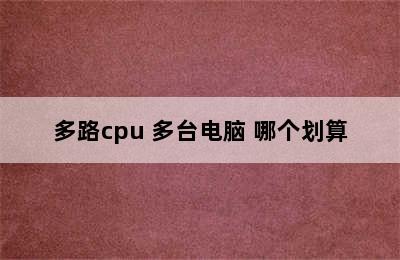 多路cpu 多台电脑 哪个划算